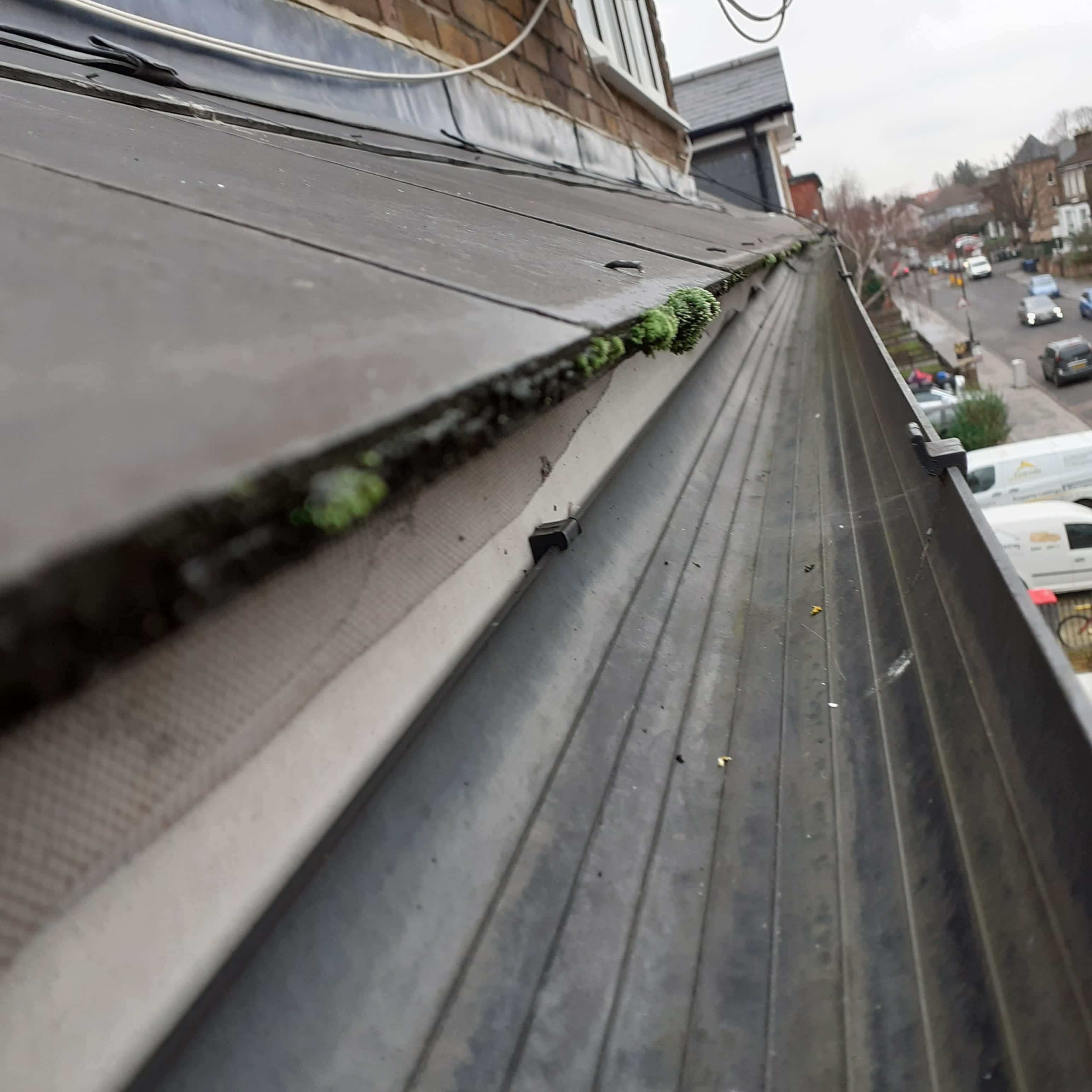 gutter cleaning ashford