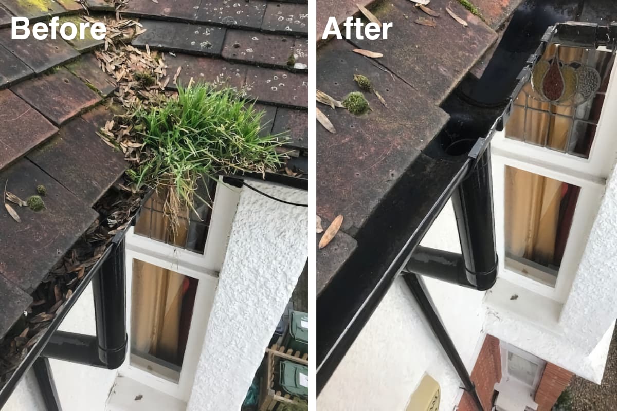Gutters full of dirt and debris