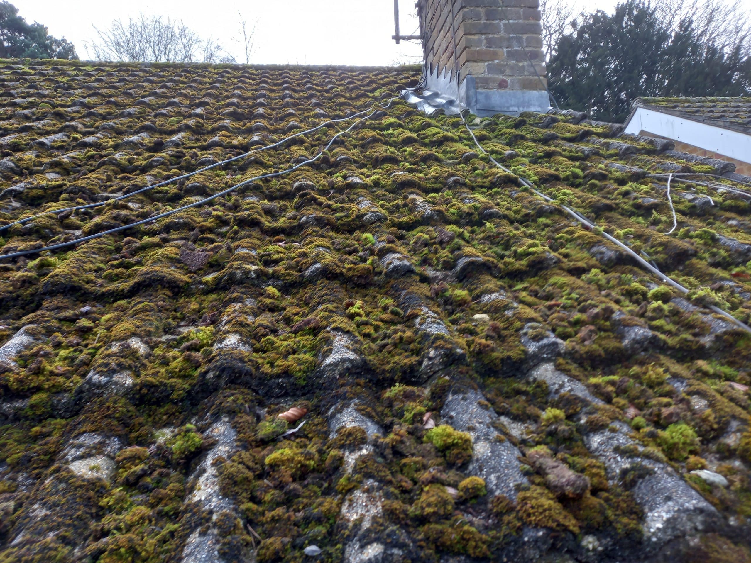 badly cover roof with moss