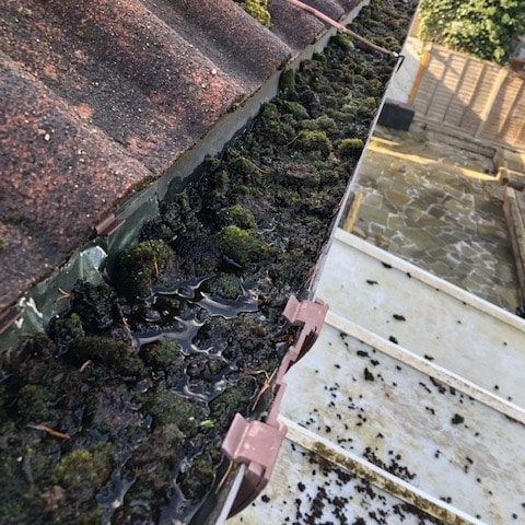 Gutter full of debris