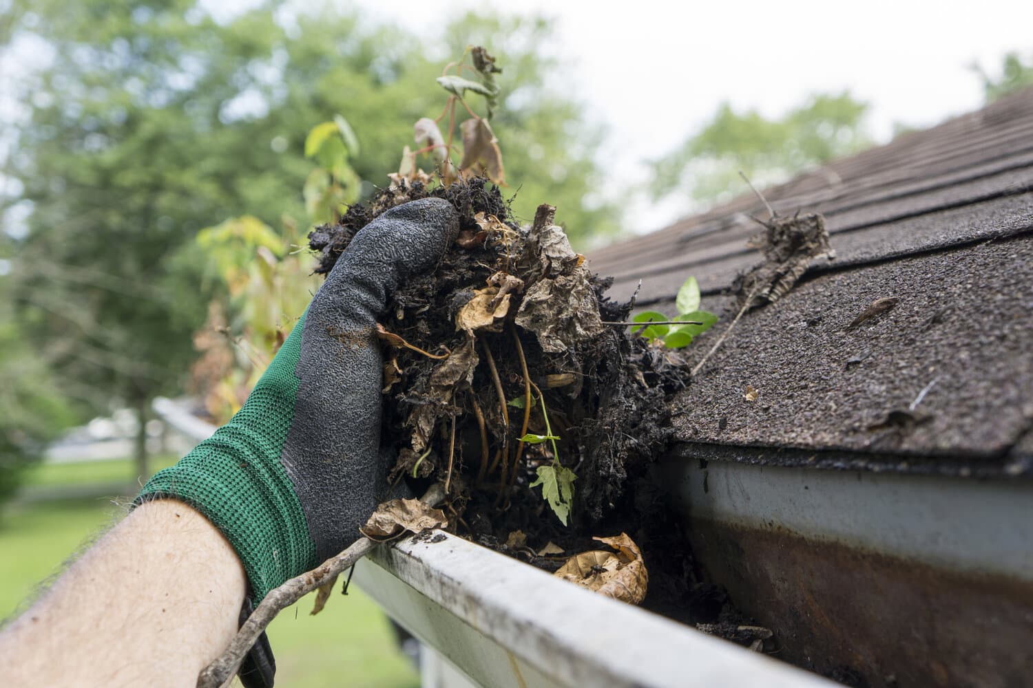 hand in gutters