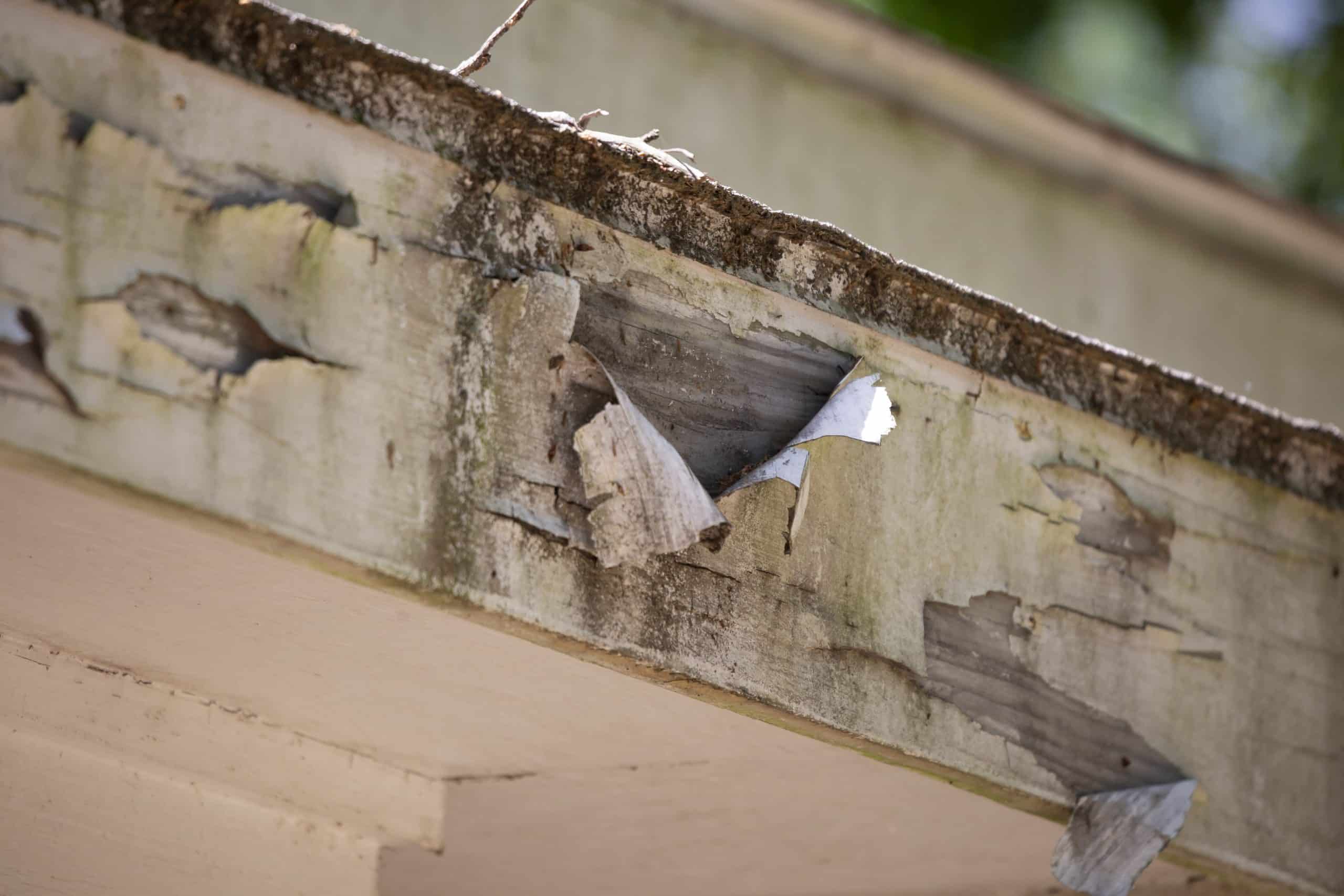 worn fascia