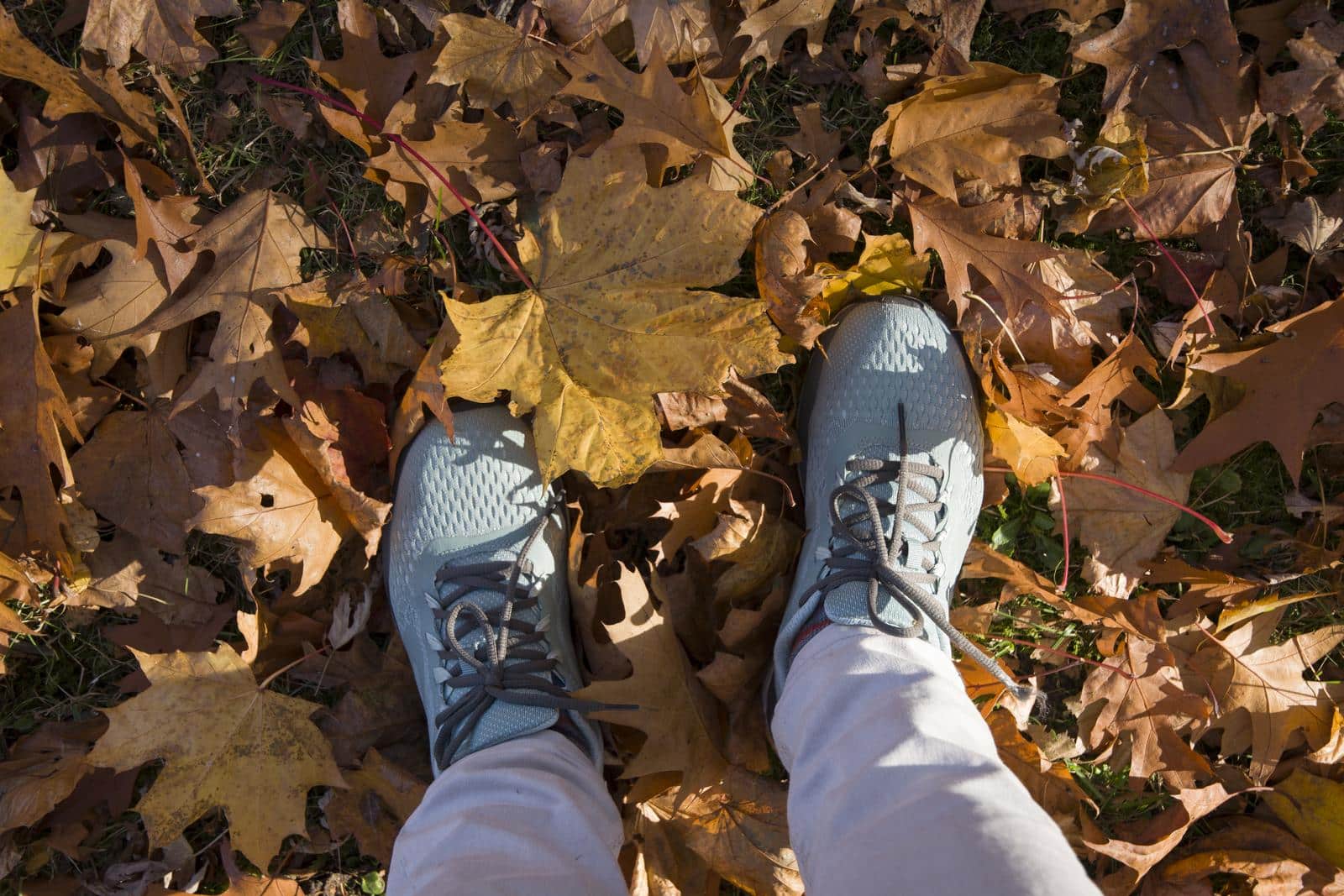 feet in Blue sneakers in a pile of autumn fallen yellow maple leaves, change of season,High quality photo