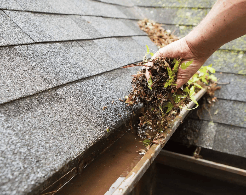 Clogged gutters