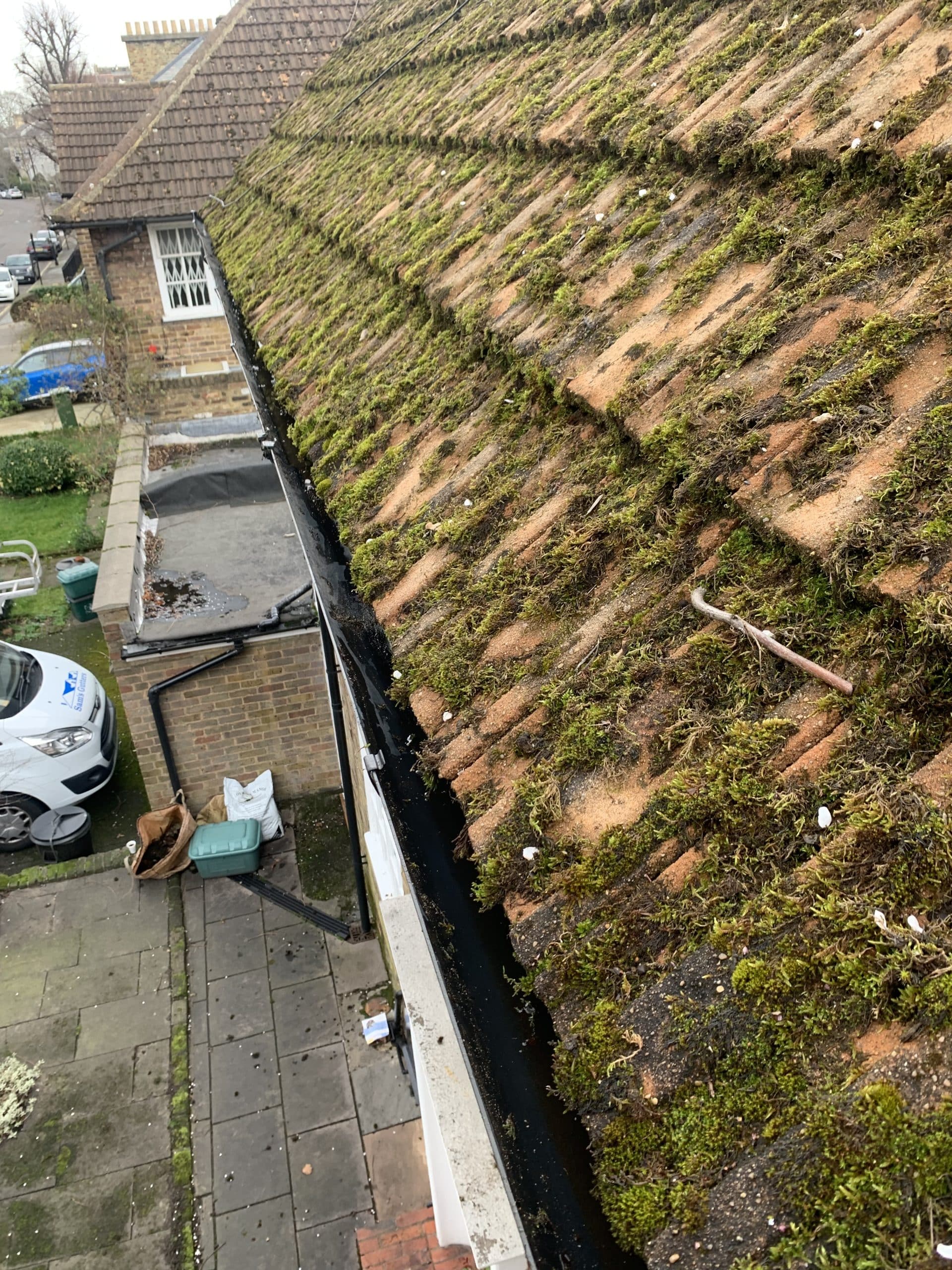 Moss removal experts