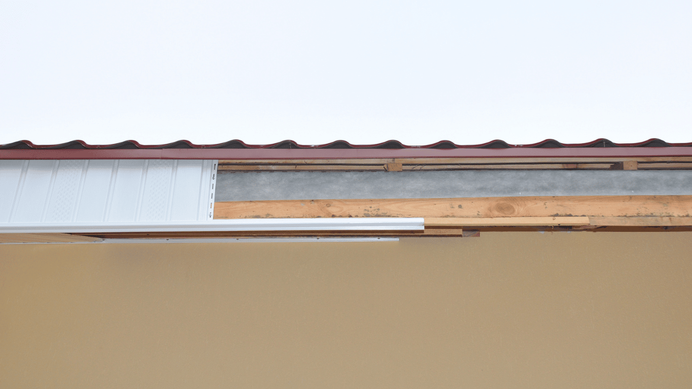 missing fascia
