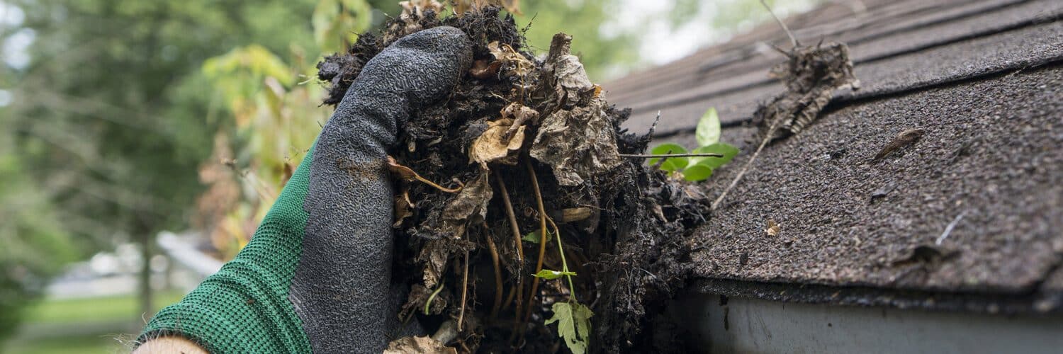 Cleaning Gutters During The Summer
