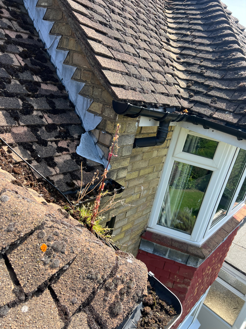 Gutters full of dirt and debris