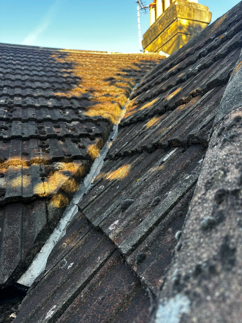 Images of tools and new tiles for a roof repair