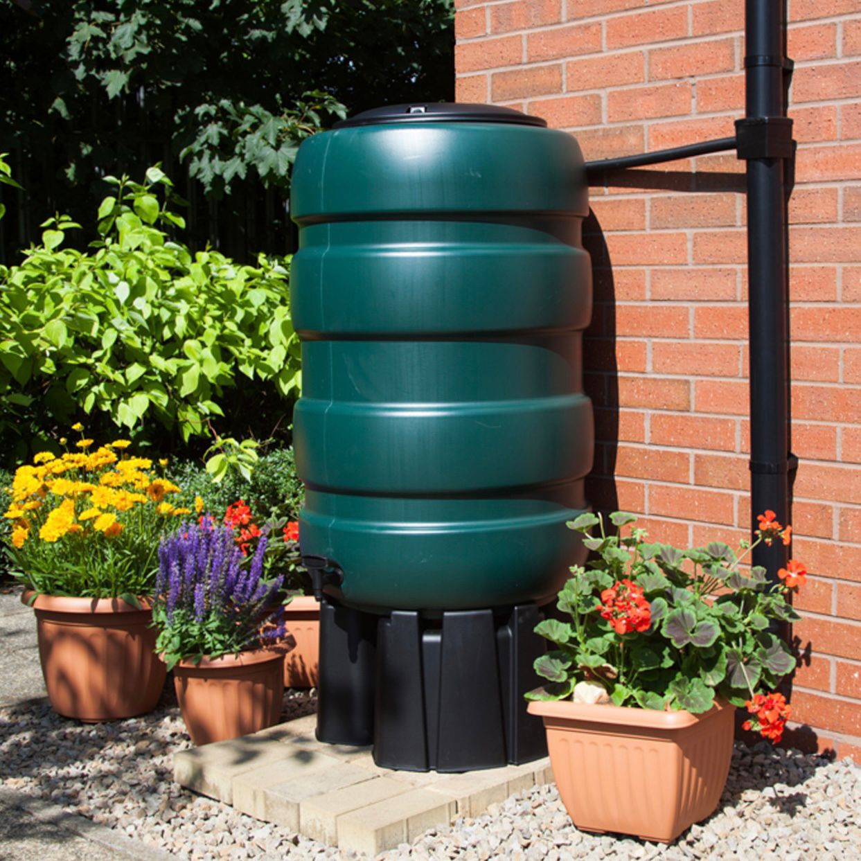 A green waterbutt.