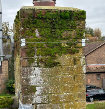 Moss growing on a chimney stack.