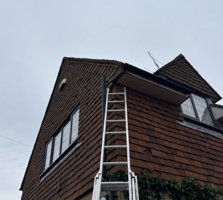A ladder leaning against a 2 storey residential property to access the roofline.