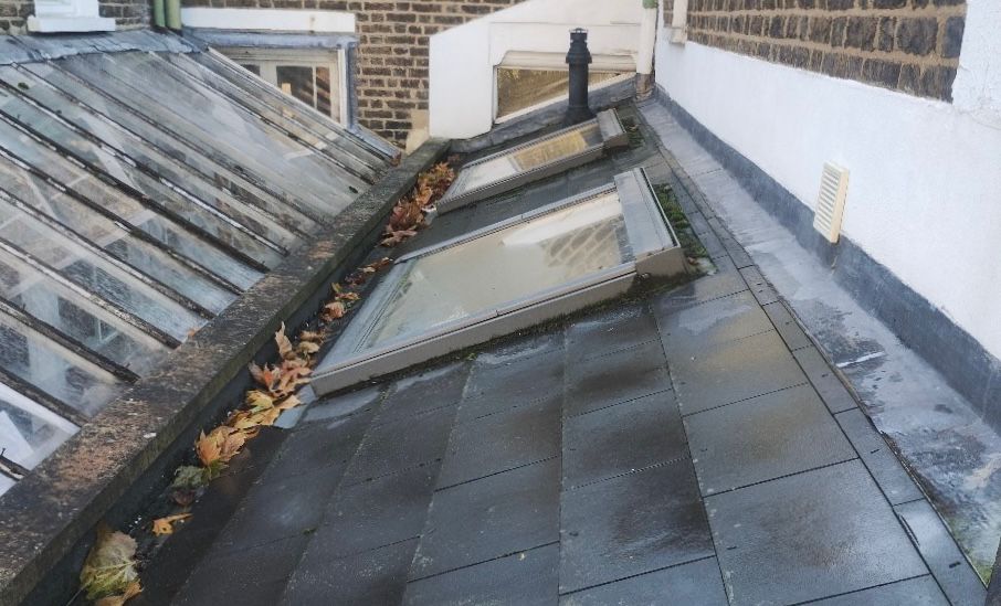 A roof and 2 skylights with leaves and debris.