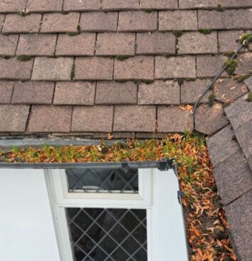 A gutter full of Autumn leaves.