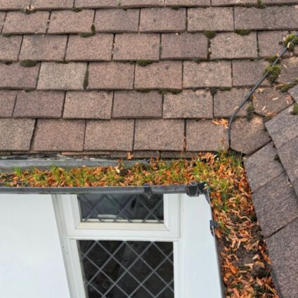Gutter Inspections