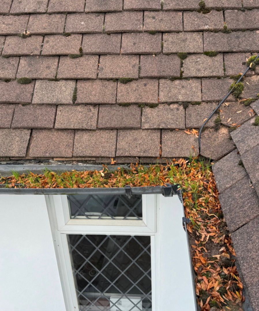 A gutter full of Autumn leaves.