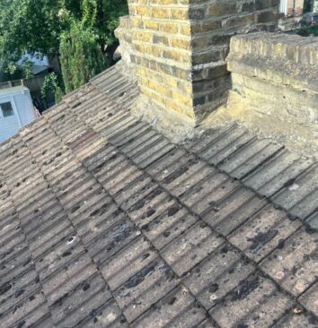 A roof that is covered in moss.