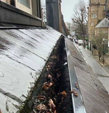 A before photograph showing leaves caught in a hedgehog or gutter brush.