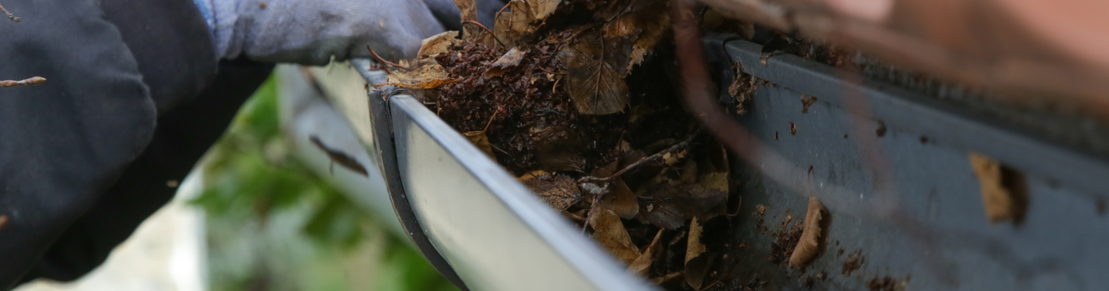 Gutter Cleaning London