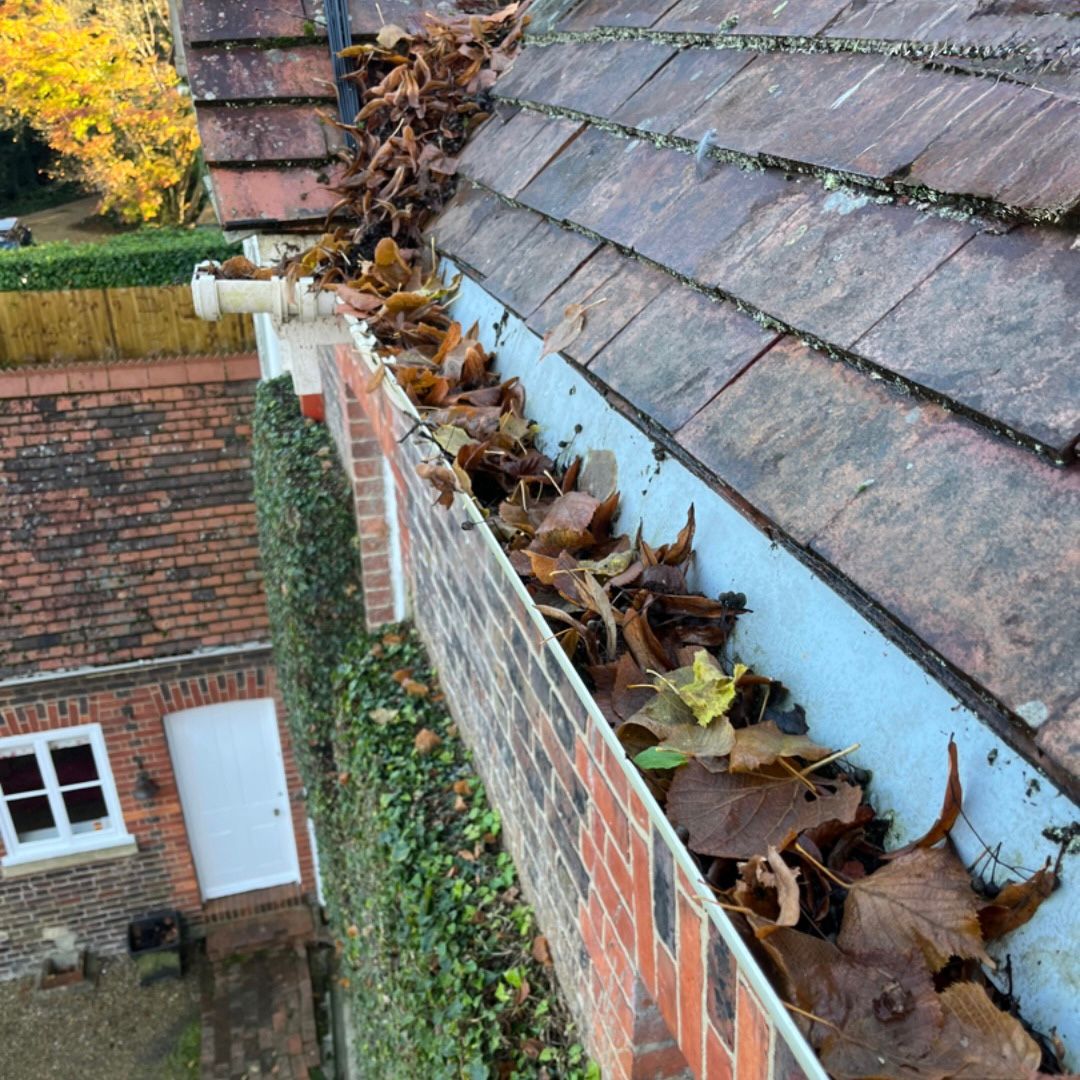 Leaves that have filled a white upvc gutter.