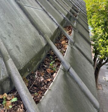 A before photo of a clogged gutter.