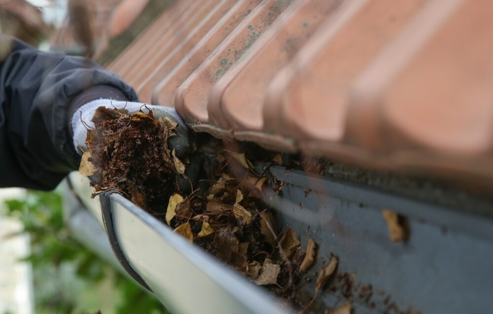 How Often Should you Clean Your Gutter in the UK