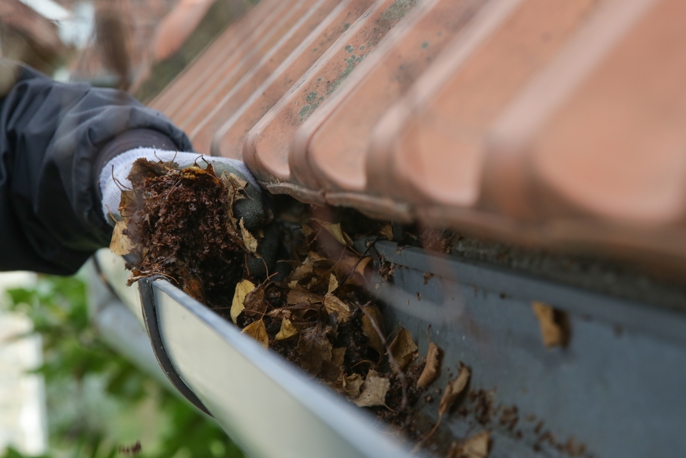 How Often Should You Clean Your Gutters in the UK?
