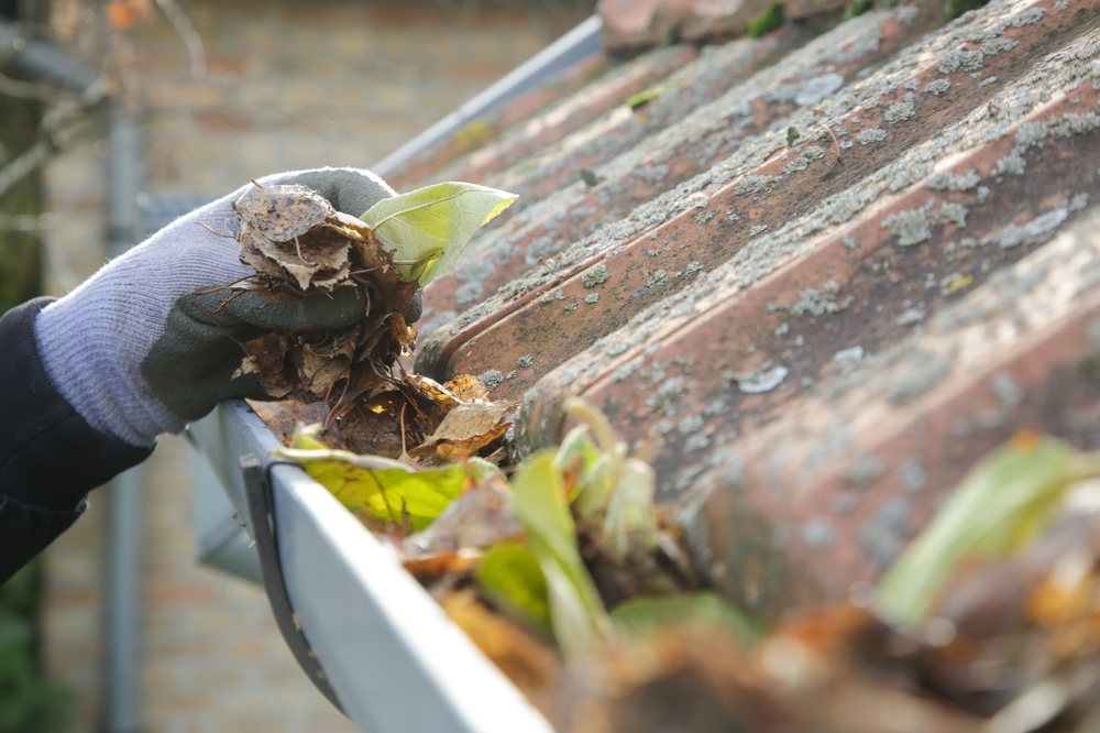 Gutter Cleaning Bromley