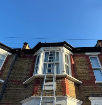A ladder leaning against a second storey bay window.