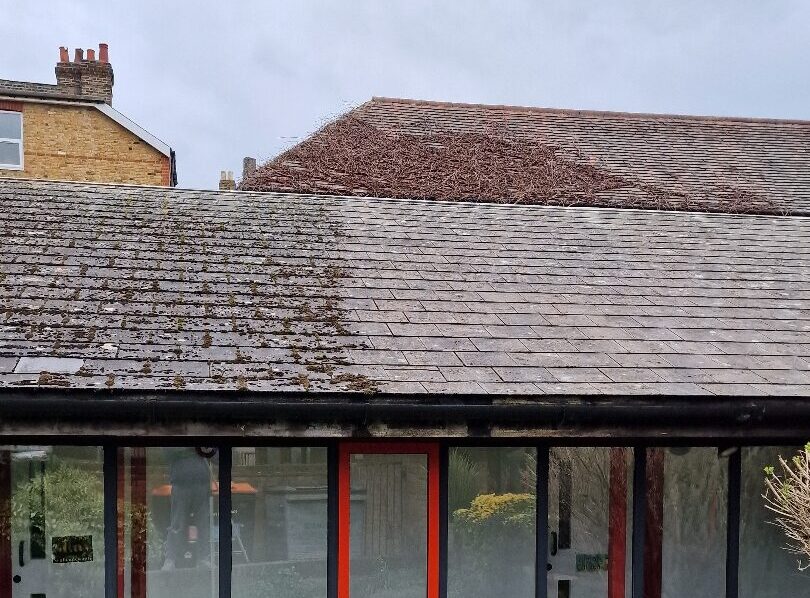Photo displaying the enhanced roof appearance following hot-water roof cleaning.