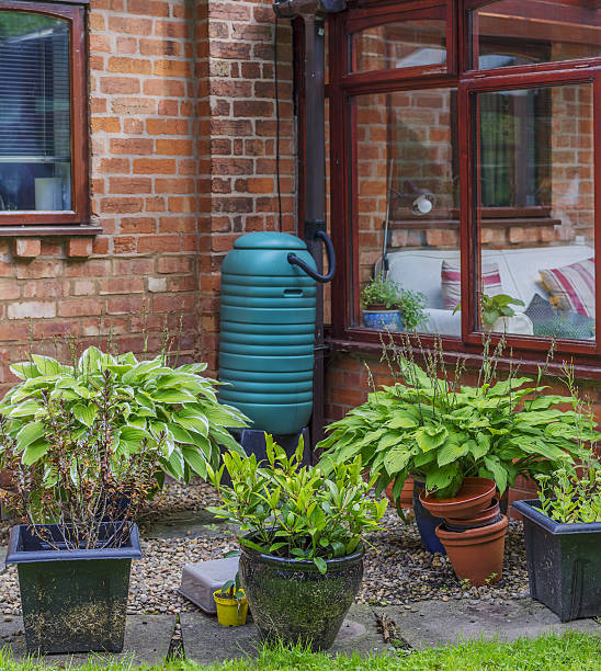 Guide to Water Butts: Types, Benefits, and Why Now Is the Perfect Time