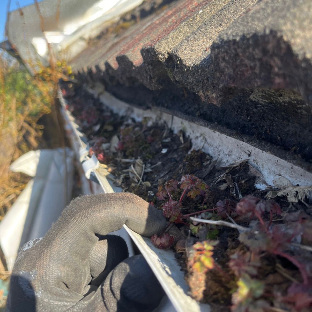 Common Gutter Problems and How to Solve Them