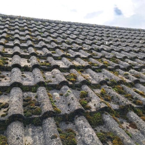 Photo of a roof that is overdue a clean.