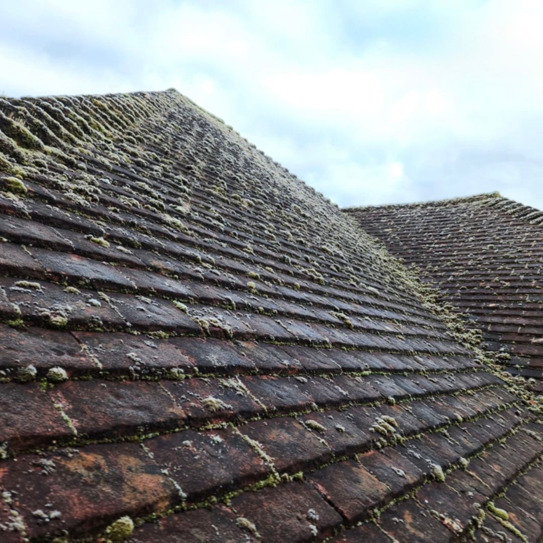 Photo of a roof that requires a clean.
