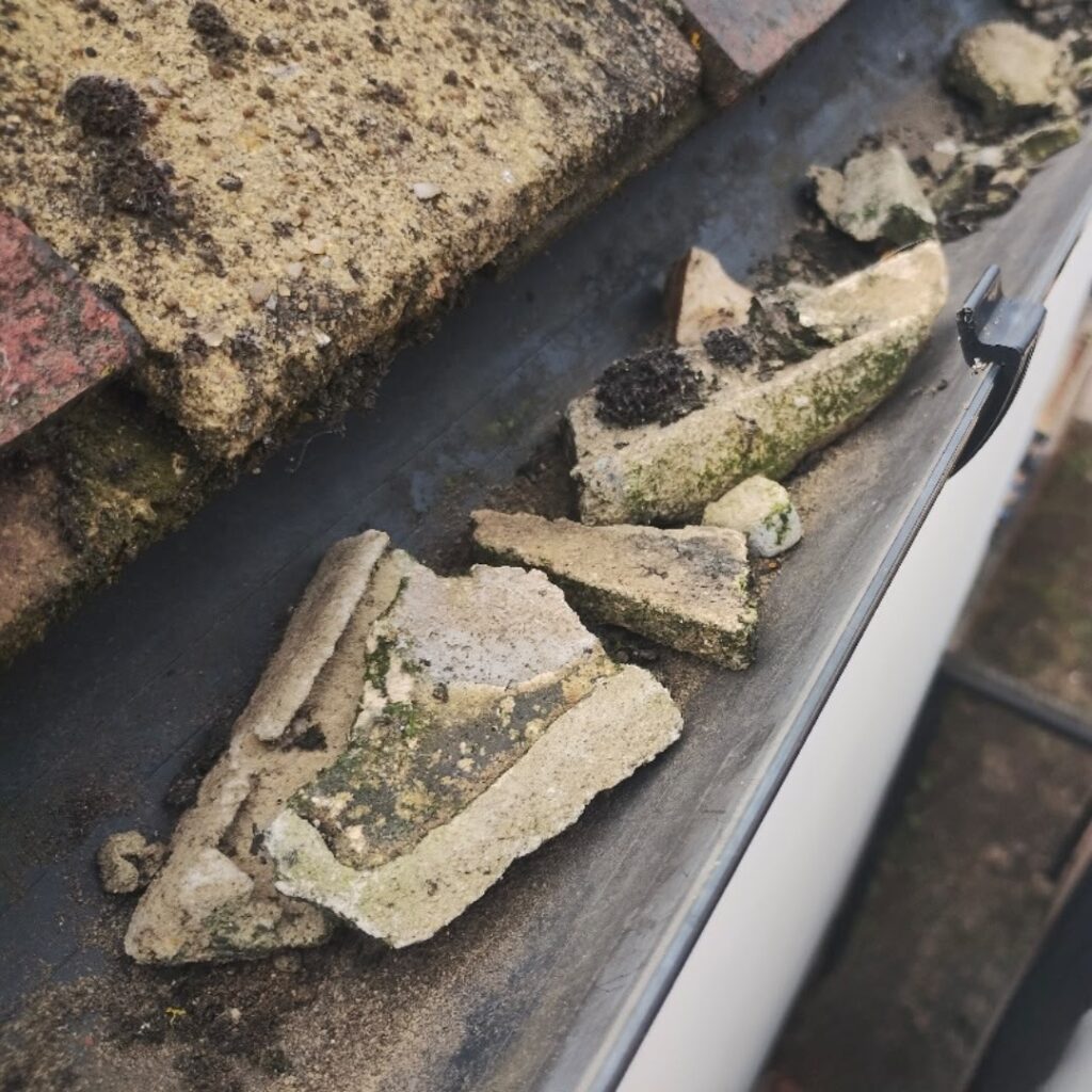 Photo of commercial roof with debris in gutters.