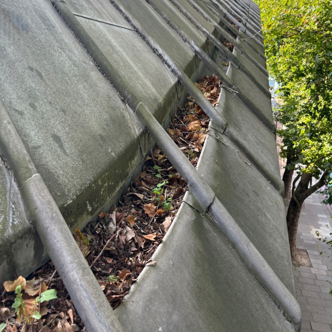 Before photo of a commercial roof with blocked gutters.