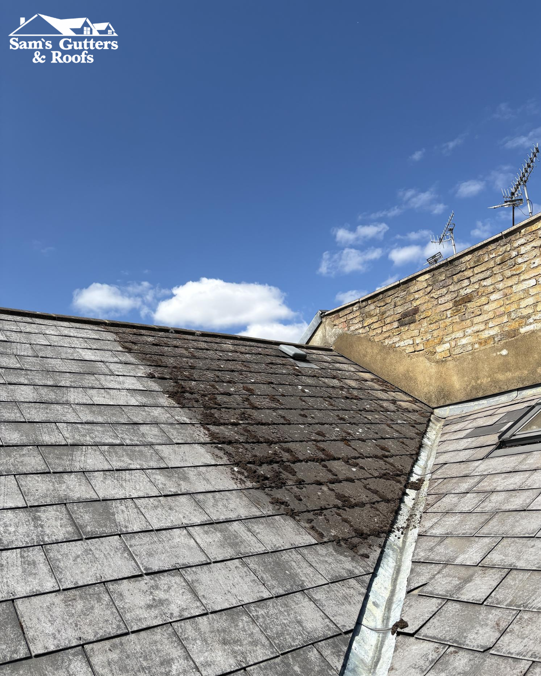 A photo of a roof in need of a clean.
