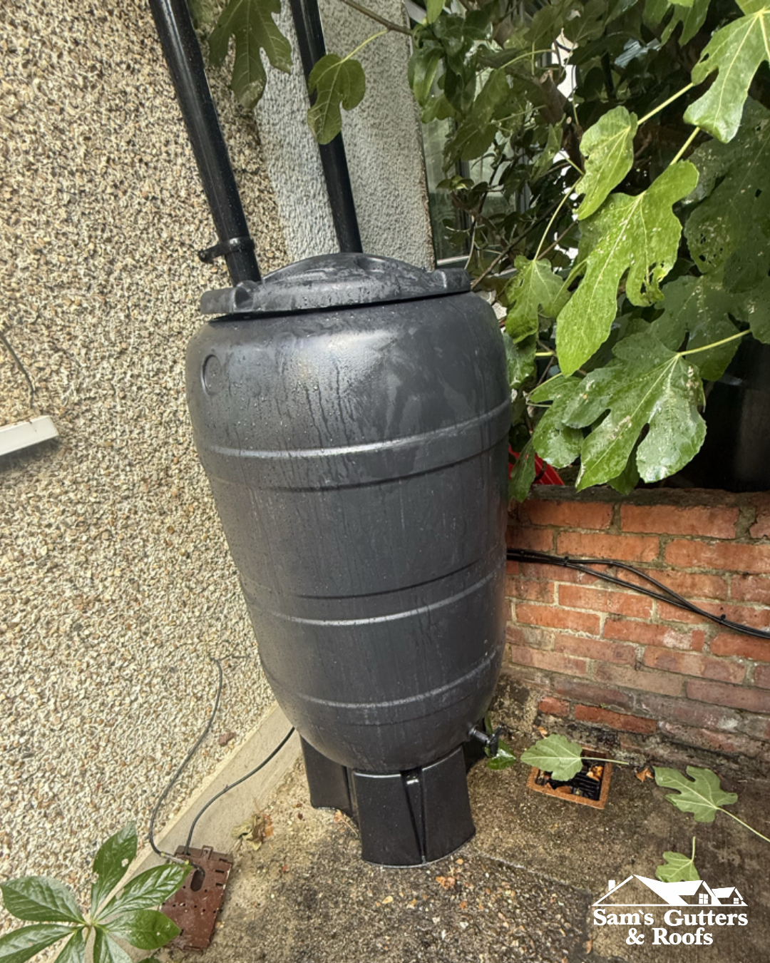 Photo of a residential water butt.